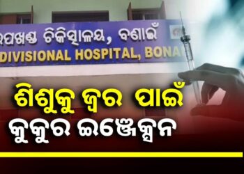 ଜ୍ବର ହୋଇଥିବା ଶିଶୁକୁ କୁକୁର କାମୁଡ଼ା ଇଞ୍ଜେକ୍ସନ