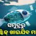 ଏବେ ସମୁଦ୍ର ସଫା କରିବ ମାଛ
