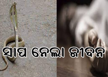 ସାପ କାମୁଡ଼ାରେ ୫ ବର୍ଷର ଶିଶୁକନ୍ୟାର ମୃତ୍ୟୁ