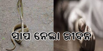 ସାପ କାମୁଡ଼ାରେ ୫ ବର୍ଷର ଶିଶୁକନ୍ୟାର ମୃତ୍ୟୁ