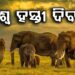 ହାତୀଙ୍କ ପାଇଁ ଦିନଟିଏ…