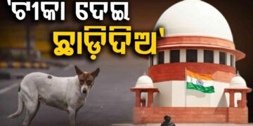 ଦିଲ୍ଲୀ-ଏନସିଆର୍ ବୁଲା କୁକୁର ମାମଲାରେ ପଶୁ ପ୍ରେମୀଙ୍କ ବଡ଼ ବିଜୟ