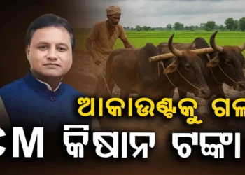 ଚାଷୀଙ୍କ ଖାତାକୁ ଗଲା CM କିଷାନ ଯୋଜନାର ତୃତୀୟ କିସ୍ତି ଟଙ୍କା