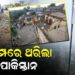 ଭୂକମ୍ପ ଝଟକାରେ ଥରିଲା ହିମାଚଳ ପ୍ରଦେଶ ସହ ପାକିସ୍ତାନ ମାଟି