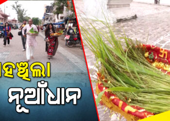 ମା’ ସମଲେଇଙ୍କ ମନ୍ଦିରରେ ପହଞ୍ଚିଲା ନୂଆଁଧାନ