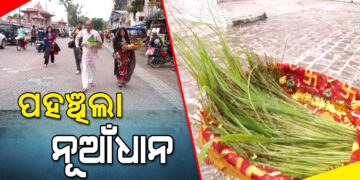 ମା’ ସମଲେଇଙ୍କ ମନ୍ଦିରରେ ପହଞ୍ଚିଲା ନୂଆଁଧାନ