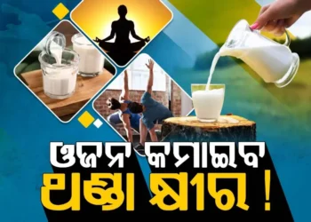 ଓଜନ କମାଇବାକୁ ଚାହୁଁଛନ୍ତି କି ? ପିଅନ୍ତୁ ଥଣ୍ଡା କ୍ଷୀର