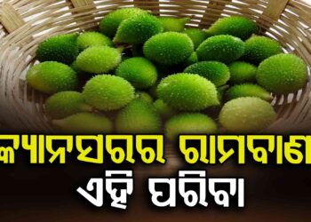କ୍ୟାନସର ସହ ମୋଟାପା କମାଇବାରେ ସାହାଯ୍ୟ କରେ ଏହି ପରିବା