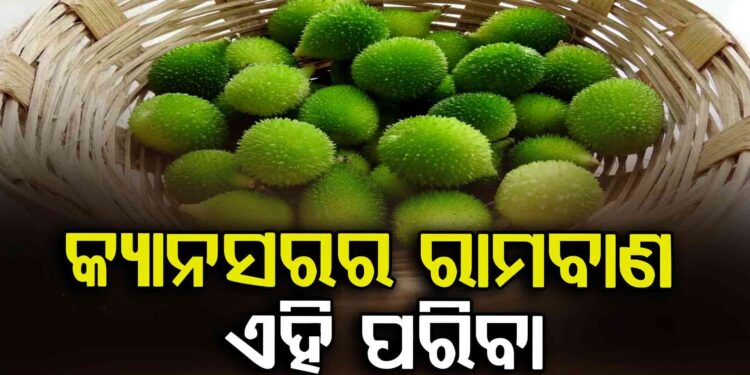 କ୍ୟାନସର ସହ ମୋଟାପା କମାଇବାରେ ସାହାଯ୍ୟ କରେ ଏହି ପରିବା