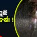 ଅମଳ ସମୟରେ ଚାଷୀଙ୍କୁ ଡରାଇଲାଣି ବର୍ଷା ଭୟ