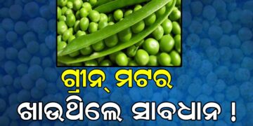 ଗ୍ରୀନ୍ ମଟର ଖାଉଥିଲେ ଜାଣିରଖ, କଣ ମିଳିବ ଫାଇଦା ଏବଂ କଣ କ୍ଷତି