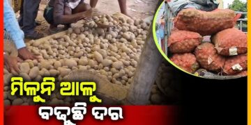 ବାତ୍ୟା ପୂର୍ବରୁ ରାଜ୍ୟରେ ପୁଣି ଆଳୁ ସଙ୍କଟ: ଗୋଦାମରୁ ଆଳୁ ଉଭାନ