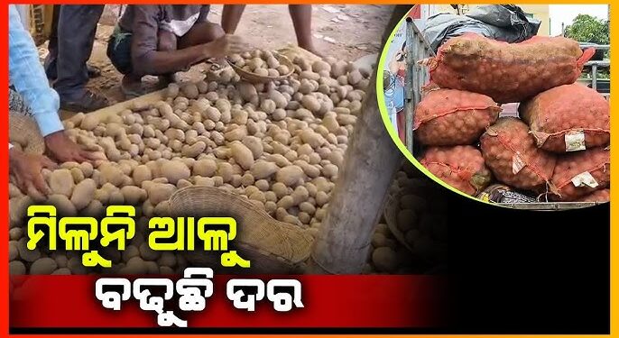 ବାତ୍ୟା ପୂର୍ବରୁ ରାଜ୍ୟରେ ପୁଣି ଆଳୁ ସଙ୍କଟ: ଗୋଦାମରୁ ଆଳୁ ଉଭାନ
