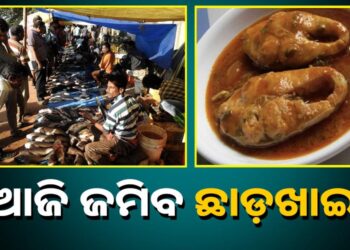 ଆଜି ଜମିବ ଛାଡଖାଇ, ଆମିଷ ବଜାରରେ ଲାଗିଲାନି ଭିଡ଼