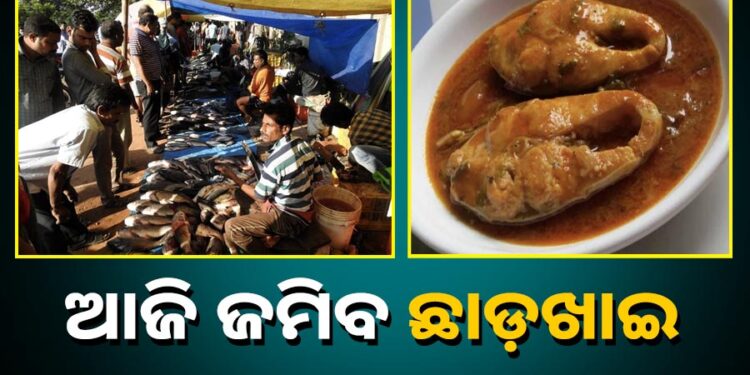 ଆଜି ଜମିବ ଛାଡଖାଇ, ଆମିଷ ବଜାରରେ ଲାଗିଲାନି ଭିଡ଼