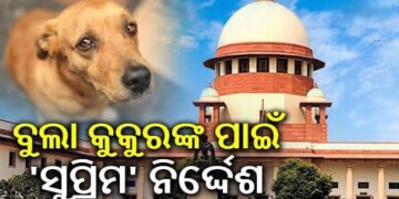 ବୁଲା କୁକୁରଙ୍କୁ ନେଇ ସୁପ୍ରିମକୋର୍ଟଙ୍କ ଗୁରୁତ୍ଵପୂର୍ଣ୍ଣ ନିର୍ଦ୍ଦେଶ