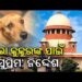 ବୁଲା କୁକୁରଙ୍କୁ ନେଇ ସୁପ୍ରିମକୋର୍ଟଙ୍କ ଗୁରୁତ୍ଵପୂର୍ଣ୍ଣ ନିର୍ଦ୍ଦେଶ