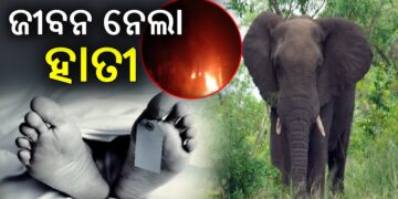 ଦୁଇ ଜଣଙ୍କ ଜୀବନ ନେଲେ ହାତୀ ପଲ