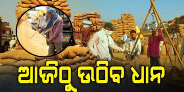 ଚାଷୀଙ୍କ ପାଇଁ ଖୁସି ଖବର… ଆଜିଠୁ ଉଠିବ ଧାନ