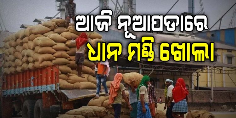 ଆଜି ନୂଆପଡା ଜିଲ୍ଲାରେ ଖୋଲିବ ଧାନ ମଣ୍ଡି
