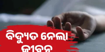 ବିଦ୍ୟୁତ୍ ତାର ସଂସ୍ପର୍ଶରେ ଆସି ଚାଲିଗଲା ଚାଷୀଙ୍କ ଜୀବନ