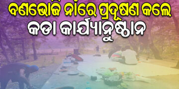 ପିକନିକ ଯାଉଥିଲେ ଜାଣିରଖ