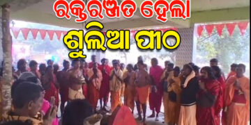 ରକ୍ତ ରଂଜିତ ହେଲା ଶୁଲିଆ ପୀଠ