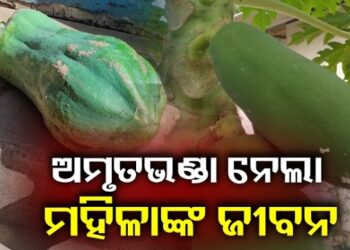 ଅମୃତ ଭଣ୍ଡା ପଡି ଚାଲିଗଲା ମହିଳାଙ୍କ ଜୀବନ 