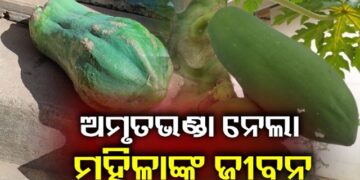 ଅମୃତ ଭଣ୍ଡା ପଡି ଚାଲିଗଲା ମହିଳାଙ୍କ ଜୀବନ 