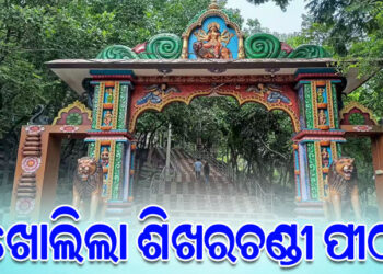 ହାତୀ ଫେରିବା ପରେ ବଣଭୋଜି କରିବାକୁ ପର୍ଯ୍ୟଟକଙ୍କ ପାଇଁ ଖୋଲିଲା ଶିଖରଚଣ୍ଡୀ