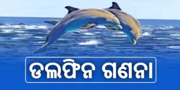 ଚିଲିକାରେ ଚାଲିଛି ଡଲଫିନ ଗଣନା