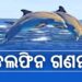 ଚିଲିକାରେ ଚାଲିଛି ଡଲଫିନ ଗଣନା