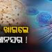 ଏହି ରୁଟି ଖାଉଥିଲେ ଜାଣିରଖ