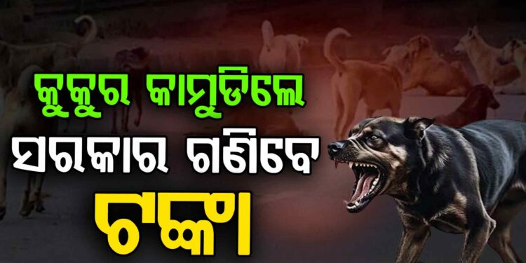 କୁକୁର କାମୁଡ଼ିଲେ ରାଜ୍ୟ ସରକାର ଦେବେ ଟଙ୍କା: ସୁପ୍ରିମକୋର୍ଟ