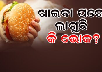 ଶୀତ ଦିନେ ଏତେ ଭୋକ ଲାଗେ କାହିଁକି?
