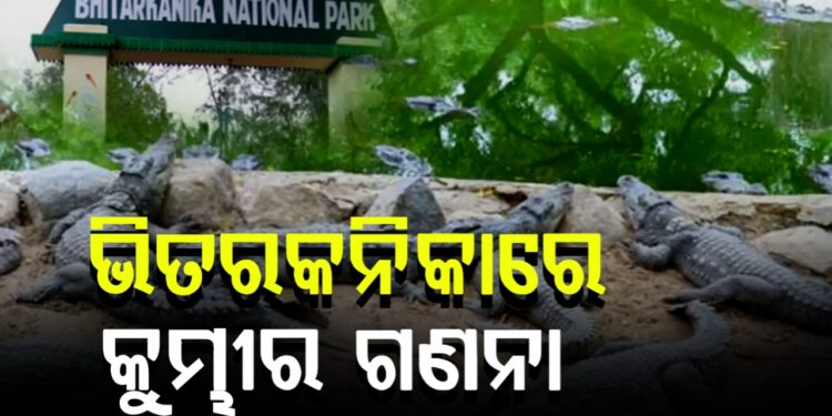 କୁମ୍ଭୀର ଗଣନା ପାଇଁ କାଲିଠାରୁ ପର୍ଯ୍ୟଟକଙ୍କୁ ଭିତରକନିକା ମନା