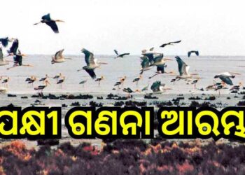 ସାରା ରାଜ୍ୟରେ ପକ୍ଷୀ ଗଣନା