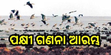 ସାରା ରାଜ୍ୟରେ ପକ୍ଷୀ ଗଣନା