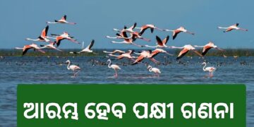 ସାତକୋଶିଆରେ ହେବ କୁମ୍ଭୀର ଓ ପକ୍ଷୀଗଣନା