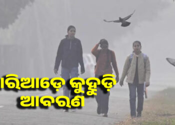 ରାଜ୍ୟରେ କଲବଲ କରୁଛି କୁହୁଡି