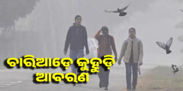 ରାଜ୍ୟରେ କଲବଲ କରୁଛି କୁହୁଡି