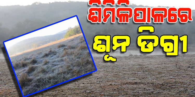 ପ୍ରବଳ ଥଣ୍ଡାରେ ଥରୁଛି ଶିମିଳିପାଳ