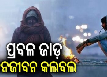 ଦିଲ୍ଲୀରେ କମୁନି ଶୀତ, IMD ଜାରି କଲା ୟେଲୋ ଆଲର୍ଟ