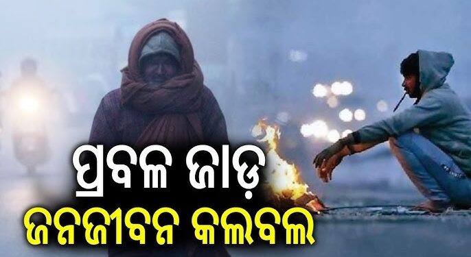 ଦିଲ୍ଲୀରେ କମୁନି ଶୀତ, IMD ଜାରି କଲା ୟେଲୋ ଆଲର୍ଟ