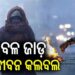 ଦିଲ୍ଲୀରେ କମୁନି ଶୀତ, IMD ଜାରି କଲା ୟେଲୋ ଆଲର୍ଟ