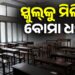 ଦିଲ୍ଲୀର ଚାରୋଟି ଘରୋଇ ସ୍କୁଲକୁ ଇମେଲ୍ ମାଧ୍ୟମରେ ବୋମା ଧମକ