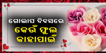 ଆଜିଠୁ ଆରମ୍ଭ ପ୍ରେମ ସପ୍ତାହ, ରୋଜ ଡେ’ରେ ଜାଣନ୍ତୁ ପ୍ରେମର ମହତ୍ୱ