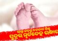 ରାସ୍ତାକଡ଼ରୁ ଉଦ୍ଧାର ହେଲା ନବଜାତ