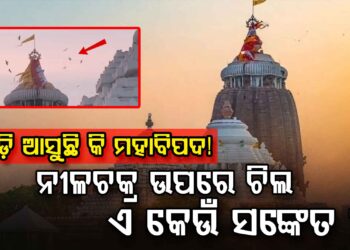 ପୁଣି ପୁରୀ ଶ୍ରୀମନ୍ଦିର ଉପରେ ଉଡିଲା ଚିଲ