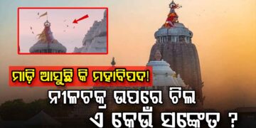 ପୁଣି ପୁରୀ ଶ୍ରୀମନ୍ଦିର ଉପରେ ଉଡିଲା ଚିଲ
